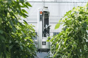 Роботизированная система для сбора спелых плодов от японской компании Agrist