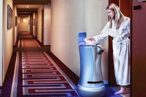 Автоматизований відпочинок. Як відкрити роботизований готель?