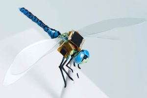 Стрекоза DragonflEye - Роботы-насекомые от Draper