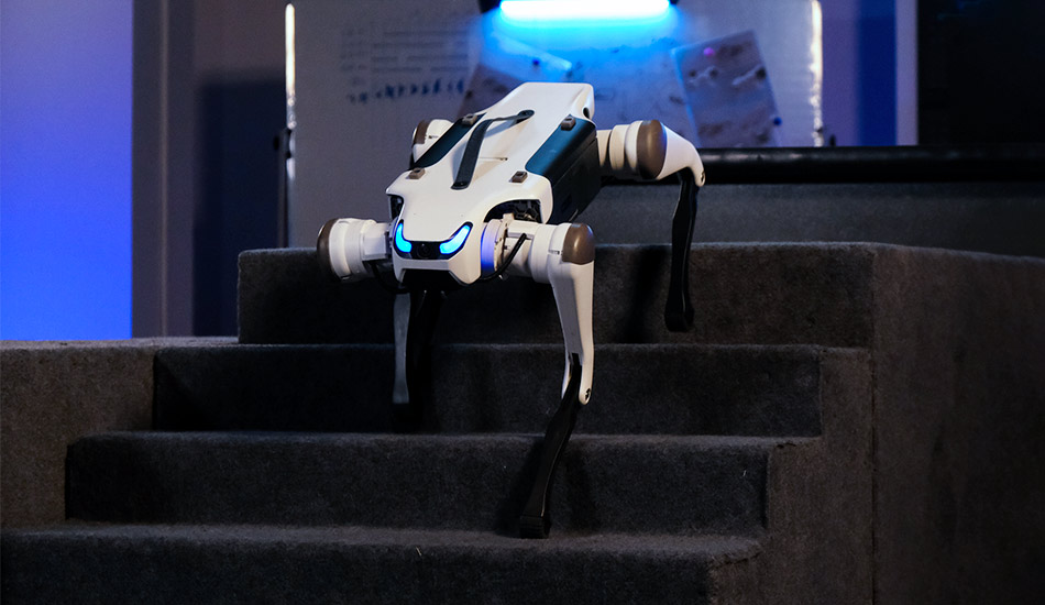 Робо-собаки з модульною структурою Deep Robotics Lite 3