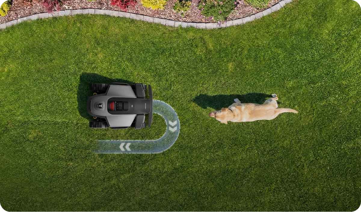 Roborock RockMow Z1 LiDAR розвертається від собаки