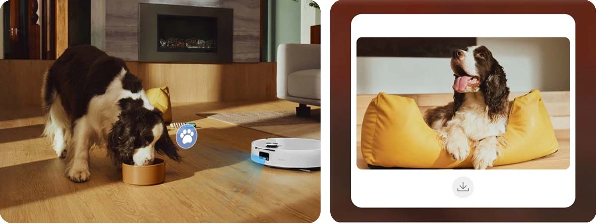 Roborock Saros 20 Flow находит и фотографирует собаку