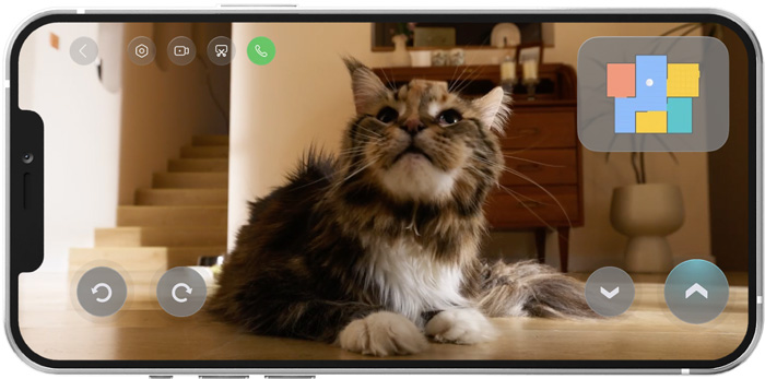 Roborock Q Revo MaxV нашел котика, и транслирует его на экран смартфона