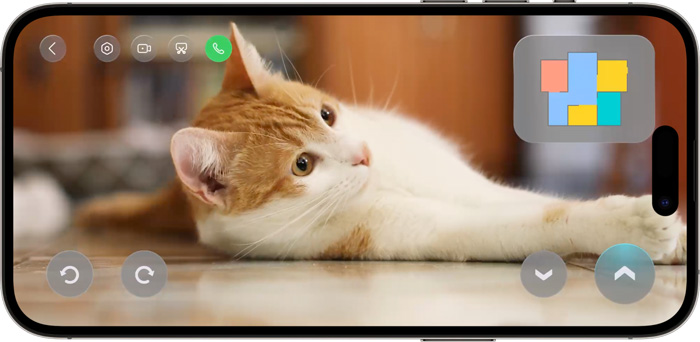 Roborock S8 MaxV Ultra with Refill & Drainage System нашел котика, и транслирует его на экран смартфона